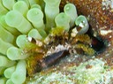 P1020607