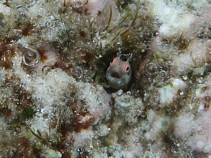 P1020701