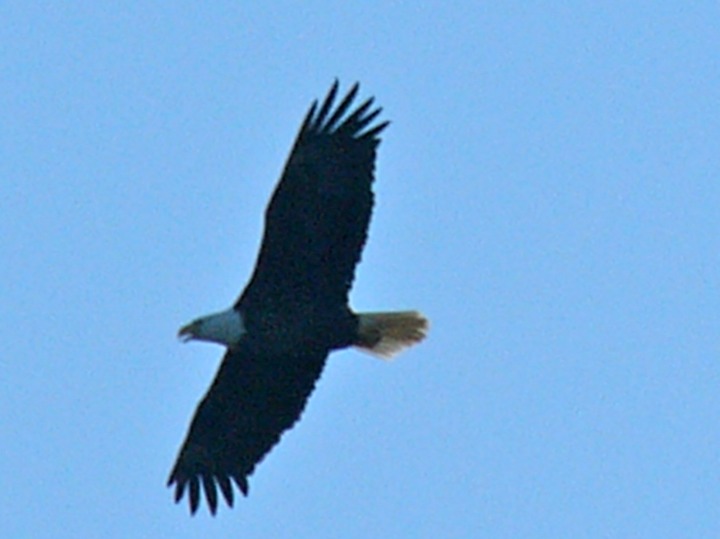 P1020850