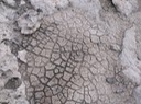 P1030179