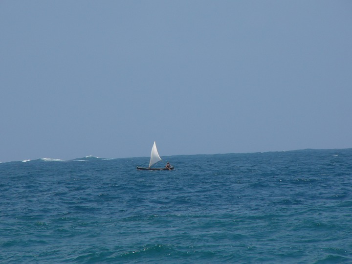 P1030669