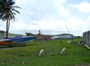 P1040231