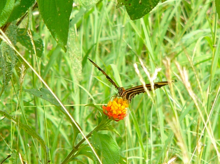 P1040380