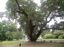 P1040541