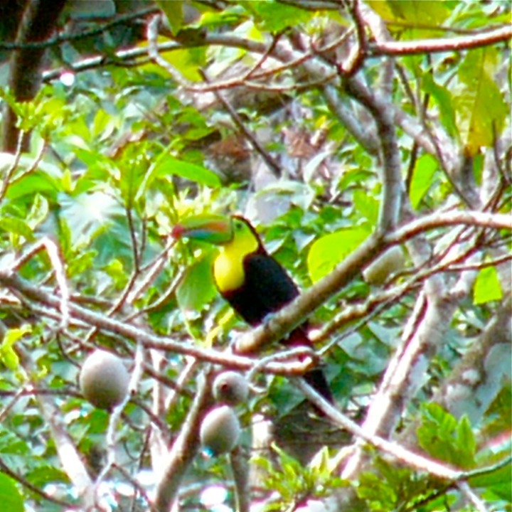 P1040700