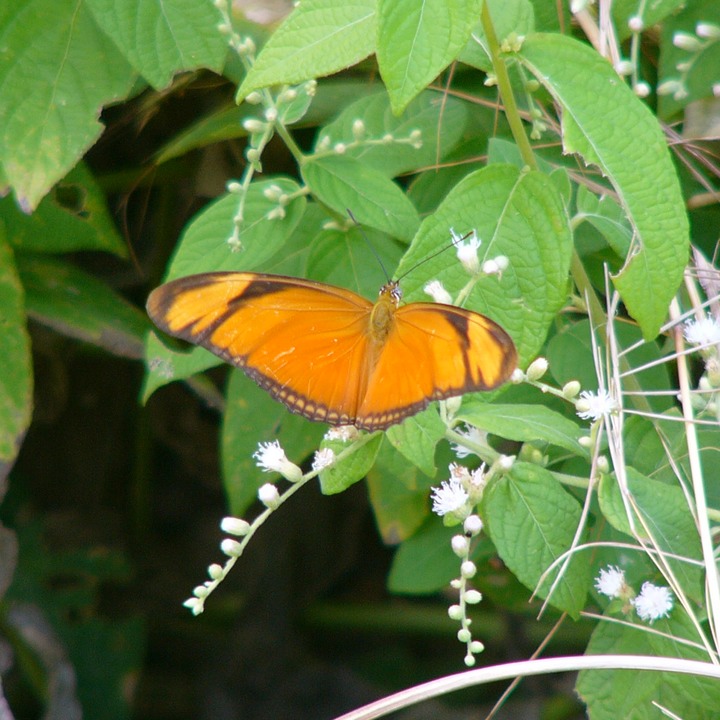 P1050067