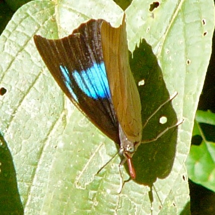 P1050144