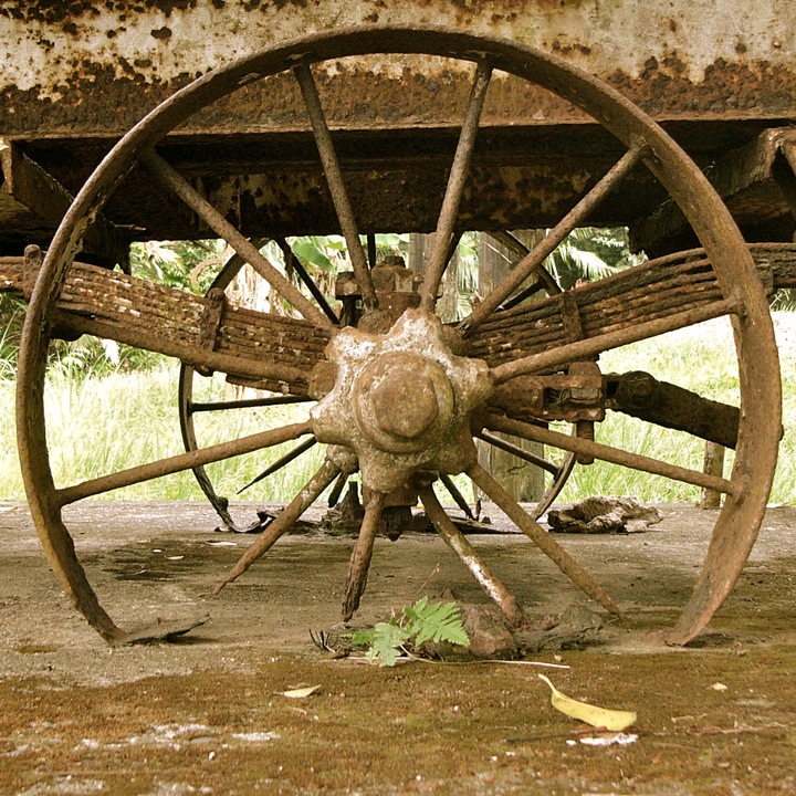 P1050355