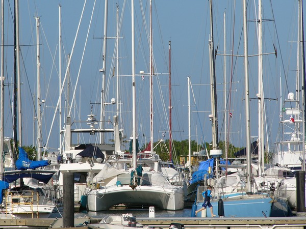 P1050459