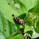 P1050505