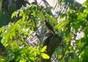 P1050626