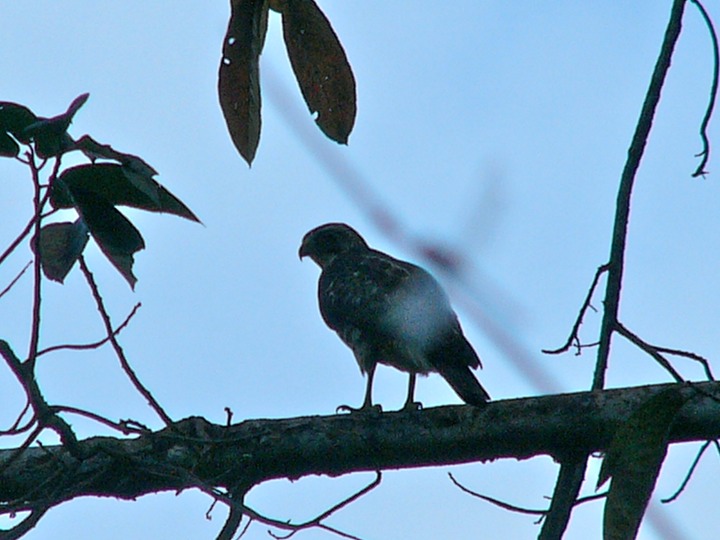 P1050671