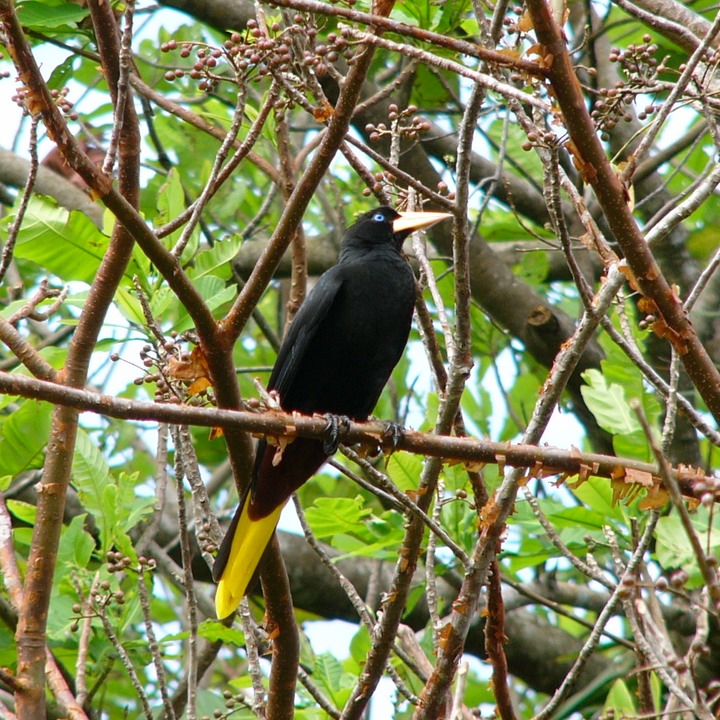 P1050844