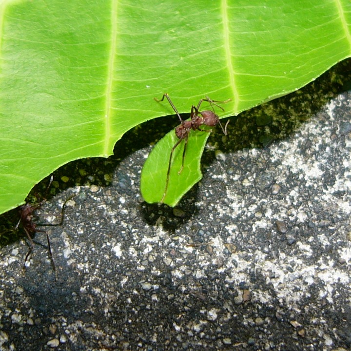 P1050876