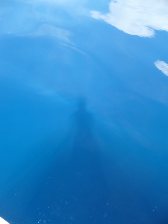 P1050887