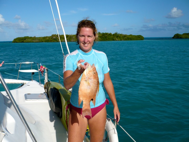 Birthday hogfish!