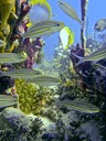 P1170038