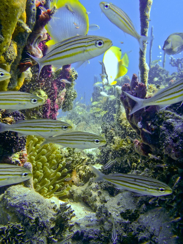 P1170038