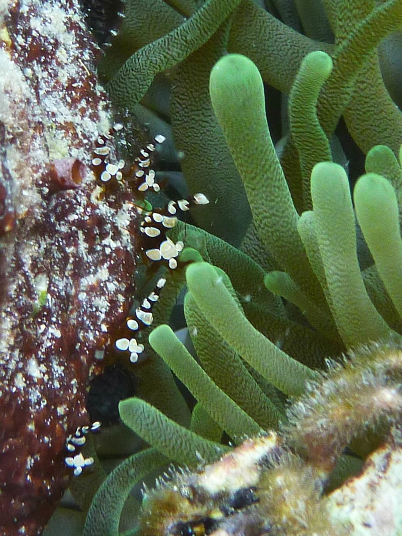 P1020326
